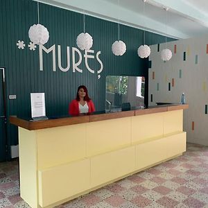 Hotel Mures